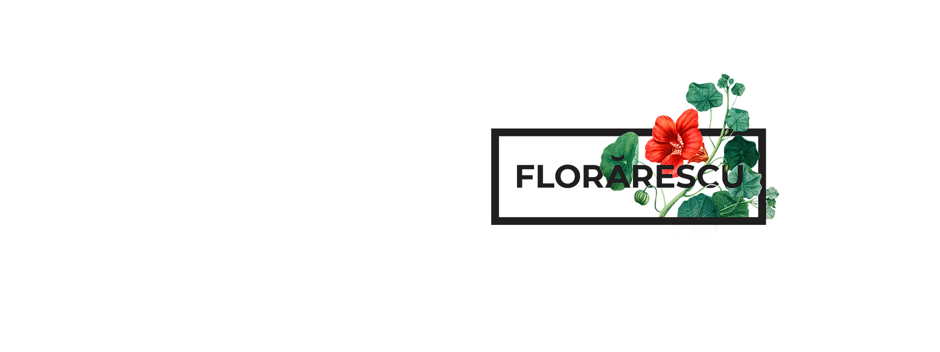 florarescu marquee